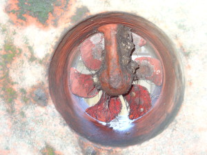 Barnacle on bow thruster