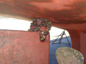 Barnacles on rudder shaft